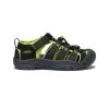 Keen Big Kids' Newport H2 | Black/Lime Green