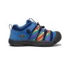 Keen Big Kids' Newport H2SHO | Multi/Bright Cobalt -Shoes Haven Shop 2887f4f0de99bcd034de1c48a9e8dc3b9593c923