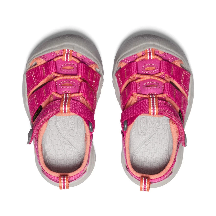Keen Toddlers' Newport H2 | Very Berry/Fusion Coral 6 Keen Toddlers' Newport H2 | Very Berry/Fusion Coral - Image 4