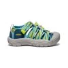 Keen Little Kids' Newport H2 | Legion Blue/Evening Primrose -Shoes Haven Shop 8f5b3be5d7fa390a47c5cce721a327deb3113784