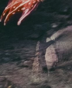 Keen Women's Jasper Rocks Sneaker X Hiking Patrol | Cuban Beige -Shoes Haven Shop KEEN W 1028832 HikingPatrolxJasperRocks Lifestyle PDP Single Left