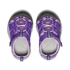 Keen Toddlers' Newport H2 | Tillandsia Purple/English Lavender -Shoes Haven Shop a781d1a8be78f44fad8dfffe8bf02df2757dc677