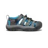 Keen Little Kids' Newport H2 | Magnet/Brilliant Blue -Shoes Haven Shop bd16d1fcb8d54f1dfd5c2adddca6212caff4c237