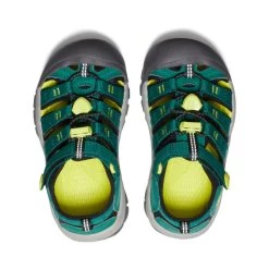 Keen Little Kids' Newport H2 | Aventurine/Evening Primrose -Shoes Haven Shop d4b829dce4c7d9a2d689dc2730ae85a829efc8e3