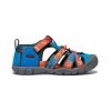 Keen Big Kids' Seacamp II CNX | Multi/Austern 1 Keen Big Kids' Seacamp II CNX | Multi/Austern -Shoes Haven Shop daf4c07fcd312878317fd2d1f44796c3721d2bd0