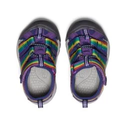 Keen Toddlers' Newport H2 | Multi/Tillandsia Purple -Shoes Haven Shop db488855b0bd04011940dacb571834346894f9fb
