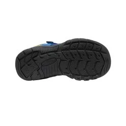 Keen Big Kids' Newport H2SHO | Multi/Bright Cobalt -Shoes Haven Shop e51f2d059f48a26ac90f63edf0322a235d411557
